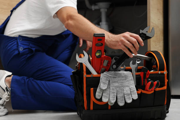 Best Residential Plumbing Services  in Louise, TX